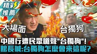 中國行遭民眾嗆聲「台獨狗」！館長喊「大場面」：台獨狗怎麼會來這呢？【CNEWS】@Notorious_3cm