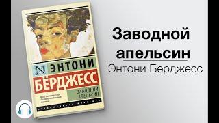 Заводной апельсин. Обзор книги