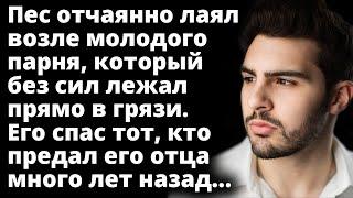 Пес отчаянно лаял возле молодого парня, который без сил лежал прямо в грязи Истории любви