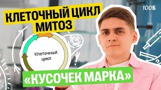 Клеточный цикл. Митоз — ИНТЕНСИВ КУСОЧЕК МАРКА  | Марк Ламарк | 100балльный репетитор