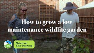 How to grow a low maintenance wildlife garden | RSPB Nature on Your Doorstep