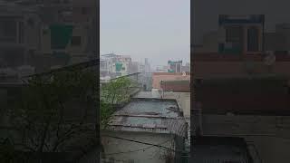 Rainy season || #shortvideo #shortsfeed