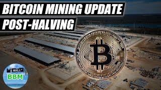 The Halving Decimated Bitcoin Miners