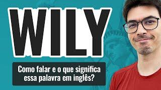 WILY | O que significa e como falar essa palavra em inglês?