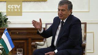 Uzbek parliament names interim president