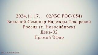 Надежда Токарева - БС_17.11.2024.Д-2 Новосибирск. Прямой Эфир