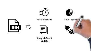 What is IP2Location CSV Data File and BIN data file?