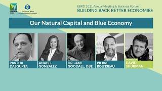 Our Natural Capital and Blue Economy