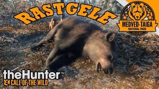 DONUK KURTLAR - TheHunter Call Of The Wild Rastgele Av