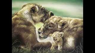 Avra Τsalamaniou - Cubs in Love