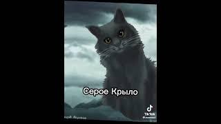 смерти котов воителей автор:meeowo1