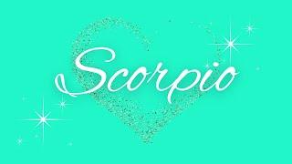 ScorpioNot Giving Up Get Ready For Round Two!Love Reading