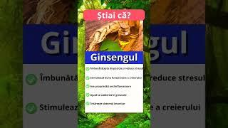 5 Beneficii ale Ginsengului #short #shorts #nutritie #sanatate