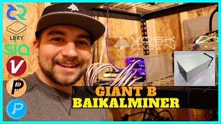 Baikalminer Giant B - Unboxing, Overview, and Profitability Mining DCR - LBRY - SC - XVC - PASC