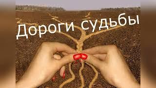 Ирина Шах "Дороги судьбы" читает Любовь Б. #стихи #поэзия #судьба #стихиожизни #любовь #творчество