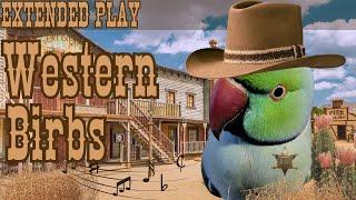 Western Birbs | Country Music Mix for Birds | 7+HRS EXTENDED PLAY | Parrot TV for Your Bird Room