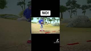 Sonic trying to trespass  #sonic #sonicboom #sonicthehedgehog #funny #memes #meme