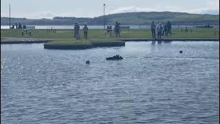 Ady Gil at largs model boat club open day