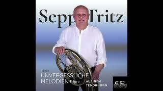 Sepp Tritz - Tränen lügen nicht (Soleado) - Michael Holm