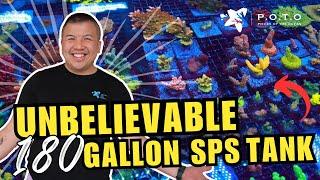 More POTO SPS Factory SECRETS that pump out TONS of Frags! - Never Revealed Before!