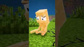 Minecraft The Boys Save Tung Tung Sahur ️