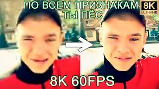 ПО ВСЕМ ПРИЗНАКАМ ТЫ ПЁС 8K 60FPS (УЛУЧШЕННЫЙ МЕМ)