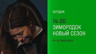 Анонс, Зимородок, 2 сезон, новые серии, премьера сегодня в 14:00 на НТВ, 2024