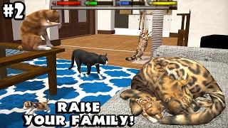 Ultimate Cat Simulator - Creating a Family - Android/iOS - Gameplay Episode 2