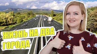 Как жить на два города? Переезд в Киев с собакой.  Путешествия с собакой.  С собакой в поезд