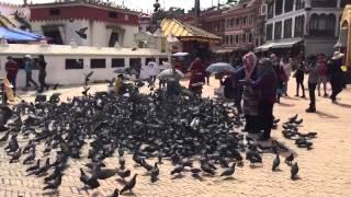 Sights and Sounds of Kathmandu