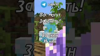 Тебя ЗАБАНЯТ За СКИН и НИК! (ВАЖНО) #shorts #minecraft | Wild