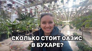 Сколько стоит Оазис в Бухаре? Влог 2. Бухара | IREN.UZ