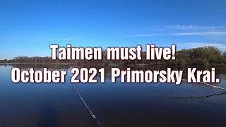 Таймешонок, река Иман,   07 октября 2021.