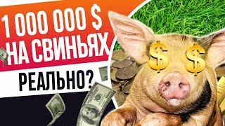 БИЗНЕС НА СВИНЬЯХ! Как работает свинокомплекс! Как живут свиньи на ферме