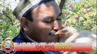 Qalpoq - Tovuq | Калпок - Товук (hajviy ko'rsatuv)