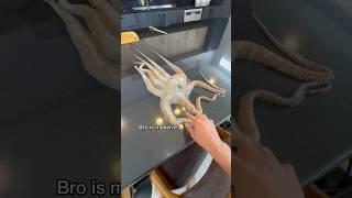 How To Make Octopus Sushi