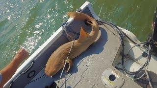 2018 Beaufort SC saltwater fishing highlights - BULL REDS, BIG Shark, and more!
