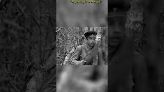 Сиротствую «А зори здесь тихие » #shorts #shortvideo
