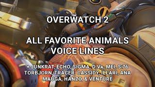 Overwatch 2 All Favorite Animals Voice Lines Lucio Question OW2