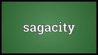 Sagacity Meaning