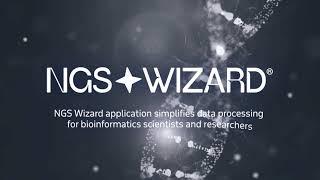 NGS Wizard - Соловей EXPRESS