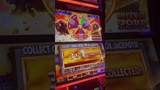 #casinowins #slot #buffaloslot #casinoluck