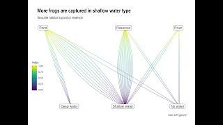 How to make a network visualization with ggraph (part 3 of Oregon Spotted a Frog series)