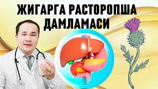 ЖИГАРГА ТАБИИЙ РАСТОРОПША ДАМЛАМАСИ ШИФО ФОЙДАЛАРИ ВА ҚЎЛЛАШ ҚОИДАСИ ХАҚИДА