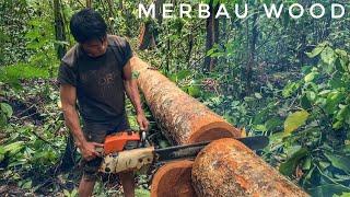 PENGOLAHAN BALOK 5x10x400 (cm) || STIHL 070