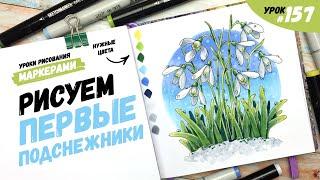 Как нарисовать подснежники? / Видео-урок по рисованию маркерами #157