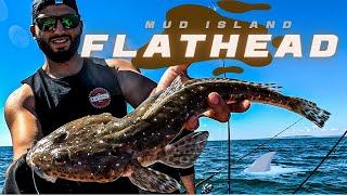 FLATTY Tails & SHARK Encounters - MUD ISLAND