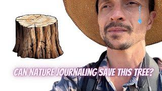 Can Nature Journaling Save This Tree?