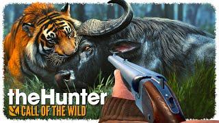 Using the MOST POWERFUL GUN to hunt EVERYTHING (ᵗʰᵉʸ ᵗᵘʳⁿ ᵗᵒ ʳᵉᵈ ᵐᶦˢᵗ) | theHunter: Call of the Wild