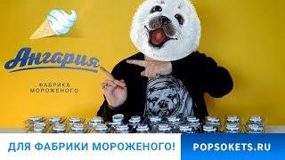 Попсокеты оптом. Фабрика мороженого Ангария.